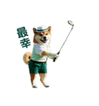 柴犬太の日常会話【ゴルフ部】（個別スタンプ：6）
