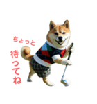 柴犬太の日常会話【ゴルフ部】（個別スタンプ：8）