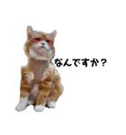 猫のめいちゃんの日常（個別スタンプ：14）