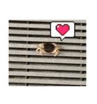 いい日ちゃむ2（個別スタンプ：7）
