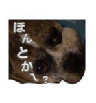 いい日ちゃむ2（個別スタンプ：14）