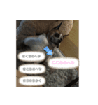 いい日ちゃむ2（個別スタンプ：27）