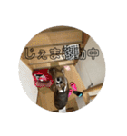 いい日ちゃむ2（個別スタンプ：28）