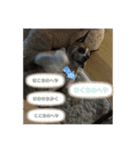 いい日ちゃむ2（個別スタンプ：30）