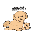 NORICOPO'S DOG ＆ HAMU-chan(Chinese ver.)（個別スタンプ：29）