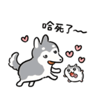 NORICOPO'S DOG ＆ HAMU-chan(Chinese ver.)（個別スタンプ：31）