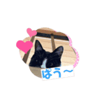 かわいい猫さくらのスタンプ（個別スタンプ：15）