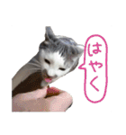 くろループ（個別スタンプ：9）
