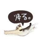 くろループ（個別スタンプ：10）