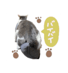 くろループ（個別スタンプ：13）