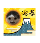 くろループ（個別スタンプ：19）