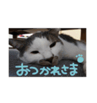 くろループ（個別スタンプ：28）