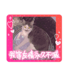 くろループ（個別スタンプ：38）