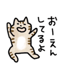 応援ねこスタンプ（個別スタンプ：3）