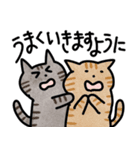 応援ねこスタンプ（個別スタンプ：6）