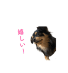 コロクルスタンプ第2弾（個別スタンプ：1）