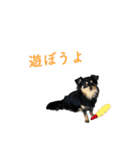 コロクルスタンプ第2弾（個別スタンプ：7）