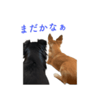コロクルスタンプ第2弾（個別スタンプ：8）