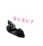 コロクルスタンプ第2弾（個別スタンプ：9）