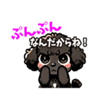 黒いマルプーちゃん（個別スタンプ：1）