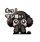 黒いマルプーちゃん（個別スタンプ：2）