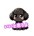 黒いマルプーちゃん（個別スタンプ：3）