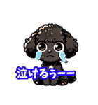 黒いマルプーちゃん（個別スタンプ：6）
