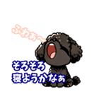 黒いマルプーちゃん（個別スタンプ：9）