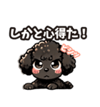 黒いマルプーちゃん（個別スタンプ：10）