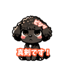 黒いマルプーちゃん（個別スタンプ：12）