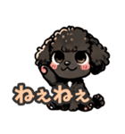 黒いマルプーちゃん（個別スタンプ：13）