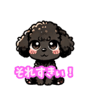 黒いマルプーちゃん（個別スタンプ：15）
