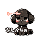 黒いマルプーちゃん（個別スタンプ：16）