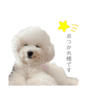 みるく＆うゆ（個別スタンプ：8）
