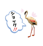 鳥が色々言うスタンプ#4（個別スタンプ：5）