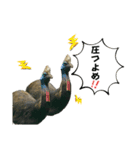 鳥が色々言うスタンプ#4（個別スタンプ：10）
