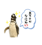 鳥が色々言うスタンプ#4（個別スタンプ：11）