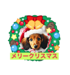 冬ダックスフンド（個別スタンプ：2）