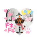 冬ダックスフンド（個別スタンプ：7）