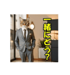 スーツを着た猫〜タメ口編〜（個別スタンプ：11）