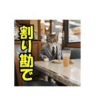 スーツを着た猫〜タメ口編〜（個別スタンプ：20）