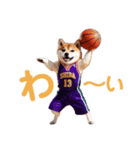 柴犬太の日常会話【バスケ部】（個別スタンプ：1）