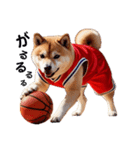 柴犬太の日常会話【バスケ部】（個別スタンプ：3）
