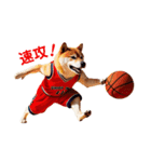 柴犬太の日常会話【バスケ部】（個別スタンプ：8）
