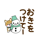 冬を感じる♡豆しば・柴犬【デカ文字】（個別スタンプ：9）