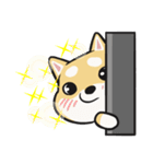 よ〜 柴犬（個別スタンプ：27）