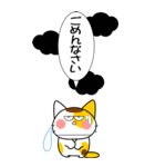 可愛いにゃんこ達【31】毎日使える吹き出し（個別スタンプ：11）