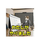 スーツを着た猫〜敬語編〜（個別スタンプ：14）