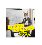 スーツを着た猫〜敬語編〜（個別スタンプ：16）