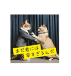 スーツを着た猫〜敬語編〜（個別スタンプ：25）